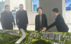 惠安县政协主席黄丽琼莅临惠安雕艺循环经济产业园项目现场指导 