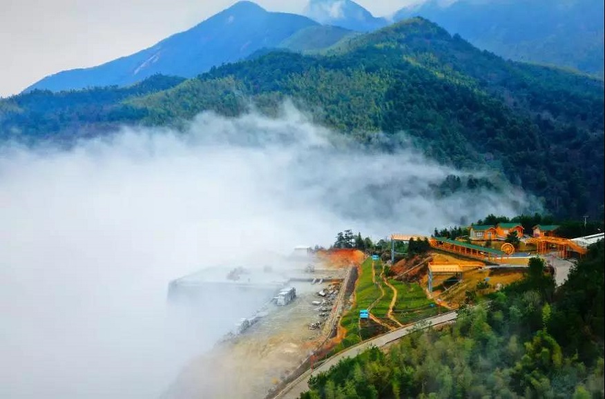 1565317820949107.jpg 12.jpg